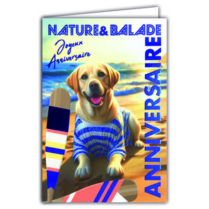 67-1270 Carte ANNIVERSAIRE Chien à la plage Texte en Bleu Brillant et Enveloppe 12x17 5cm labrador golden retriever à la mer Animal de compagnie en marinière t-short rayé bleu et blanc rames pagayes