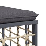 vidaXL Salon de jardin 4 Pièces avec coussins anthracite résine tressée