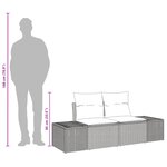 vidaXL Canapé de jardin 2 places avec rangement et coussins Marron Rotin Synthétique