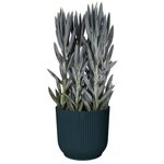 Pot de fleurs Rond - Plastique - Ø 45 - Noir