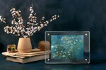 ALMOND BLOSSOM Vincent Van Gogh Pièce 1 Once Argent 1000 Francs Cameroun 2025