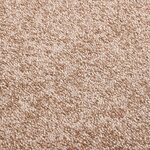 vidaXL Paillasson Beige 80x120 cm