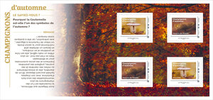Collector 4 timbres - Champignons d'automne - Lettre Verte