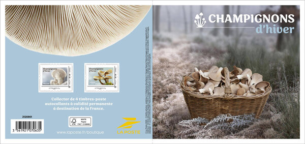 Collector 4 timbres - Champignons d'hiver - Lettre Verte