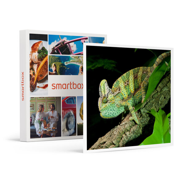 SMARTBOX - Coffret Cadeau Rencontre avec les reptiles et les amphibiens pour 2 personnes près de Mâcon -  Sport & Aventure