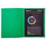 Paquet De 100 Chemises Rock''s 210 - 24x32cm - Vert Sapin - Exacompta