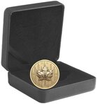 Pièce de monnaie en Argent 200 Dollars g 33.17 Millésime 2024 MAPLE LEAF