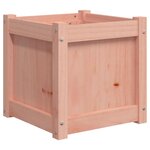vidaXL Jardinières 2 Pièces bois massif douglas