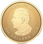 Pièce de monnaie en Argent 200 Dollars g 33.17 Millésime 2024 MAPLE LEAF