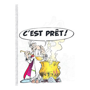 1 Cahier à Spirales A4 - 100 pages Lignées Astérix et Obélix Visuel Aléatoire