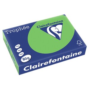 Papier couleur A4 Vert menthe 80g Trophée - Ramette de 500 feuilles (boîte 5 x 500 feuilles)
