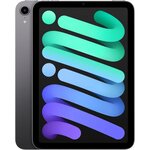 Apple Ipad Mini (2021) 8,3" Wifi - 256 Go - Gris Sidéral