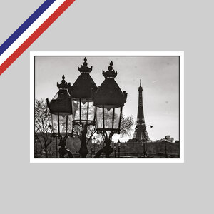 Carte peter turnley - place de la concorde  2021