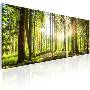 Tableau - sunlight l x h en cm 225x90