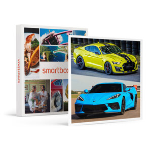 SMARTBOX - Coffret Cadeau Stage de pilotage multivolant : 2 tours en Corvette C8 et 2 tours en Ford Mustang sur le circuit de Nogaro -  Sport & Aventure