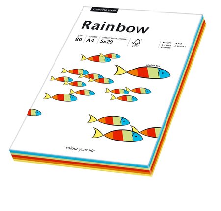 ramette de 100 feuilles A4 multifonction Rainbow couleurs assorties PAPYRUS