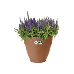 Vibia Campana Bac à fleurs Rond 55 - Marron Ø 55 x 47 cm