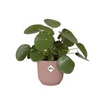 Vibes Fold Pot de fleurs rond Roues 35 - Rose Ø 35 x 32 cm