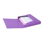 Boite De Classement Cartobox Dos 40mm Carte Lustrée - A4 - Violet - X 10 - Exacompta