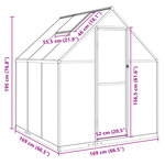 vidaXL Serre avec cadre de base anthracite 169x169x195 cm aluminium