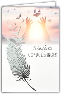 Carte Sincères Condoléances Argenté Brillant avec Enveloppe Blanche 10x16 5cm