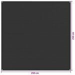 vidaXL Tapis de tente 250x250 cm Anthracite PEHD