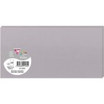 Pack de 25 carte simple 210g 106x213 gris koala clairefontaine