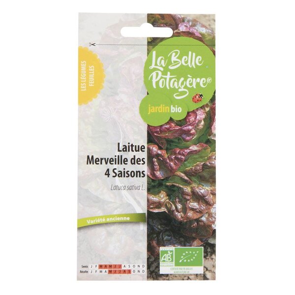 Graines à semer - Laitue Merveille des 4 saisons - 0 5 g