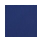 vidaXL Bâche bleu 5x7 m 650 g/m²