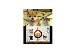 Nintendo nintendogs cats caniche 3ds