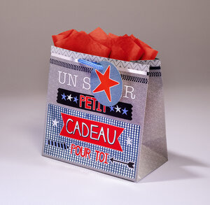 Sac cadeau great day pmcl 18 x h 18 typo