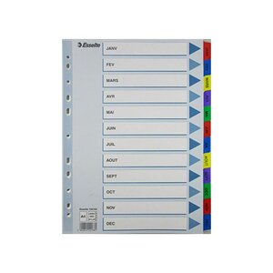 Intercalaires répertoire mensuel A4 Mylar12 onglets Couleurs imprimés ESSELTE