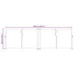 vidaXL Auvent latéral rétractable Anthracite 100 x 600 cm