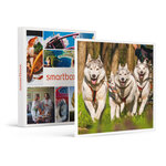 SMARTBOX - Coffret Cadeau Session de Cani-Kart d’1h en famille près de Valence -  Sport & Aventure