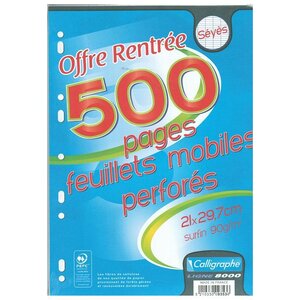 Feuillets mobiles s/film 21x29,7 perforés 500p séyès 90g CALLIGRAPHE