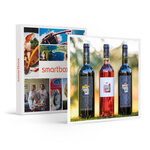 SMARTBOX - Coffret Cadeau Coffret de vins à déguster à la maison -  Gastronomie