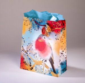 Sac cadeau croquis gml 26 x h 32,5 rouge gorge