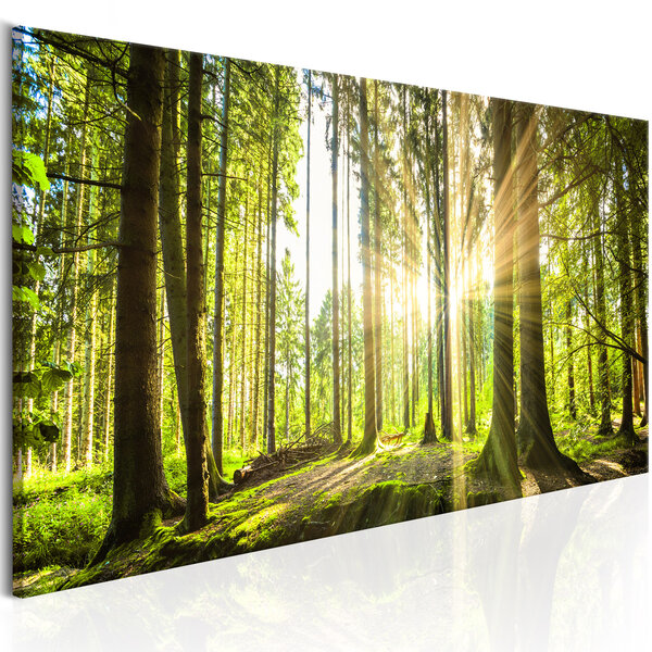 Tableau - lumière du jour l x h en cm 120x40