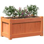 vidaXL Jardinières 2 Pièces cire marron bois de pin massif
