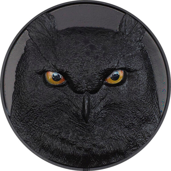Pièce de monnaie en Argent 20 Dollars g 155.5 (5 oz) Millésime 2021 Hunters by Night EAGLE OWL