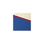 Paquet De 100 Couvertures Grain Cuir Pour Reliure A4 - Vert Foncé - Clairefontaine