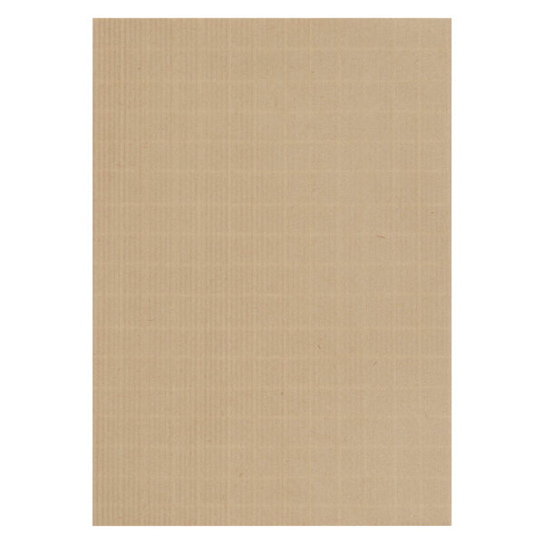 Pochette kraft armé brun 162 x 229 mm 130 g - boîte de 10 - gpv