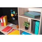 Trieur Harmonika à Fenêtres avec Élastiques 12 Compartiments Bleu EXACOMPTA