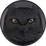 Pièce de monnaie en Argent 20 Dollars g 155.5 (5 oz) Millésime 2021 Hunters by Night EAGLE OWL