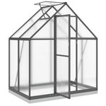 vidaXL Serre avec cadre de base anthracite 169x114x202 cm aluminium