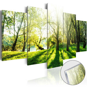 Tableau sur verre acrylique - green glade [glass] l x h en cm 200x100