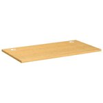 vidaXL Dessus de bureau 100x60x2 5 cm bambou