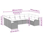 vidaXL Ensemble de Canapés de Jardin 9 Pièces avec Coussins Noir en Rattan Synthétique