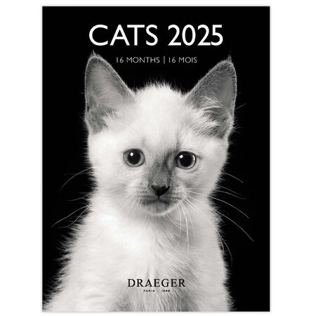Petit Calendrier Mural 14x18  cm - 2025 - Chats noir et blanc 2025 - Draeger