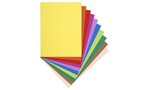 Paquet de 10 chemises 220g FLASH format A4 100 RECYCLE assortis x 10 EXACOMPTA